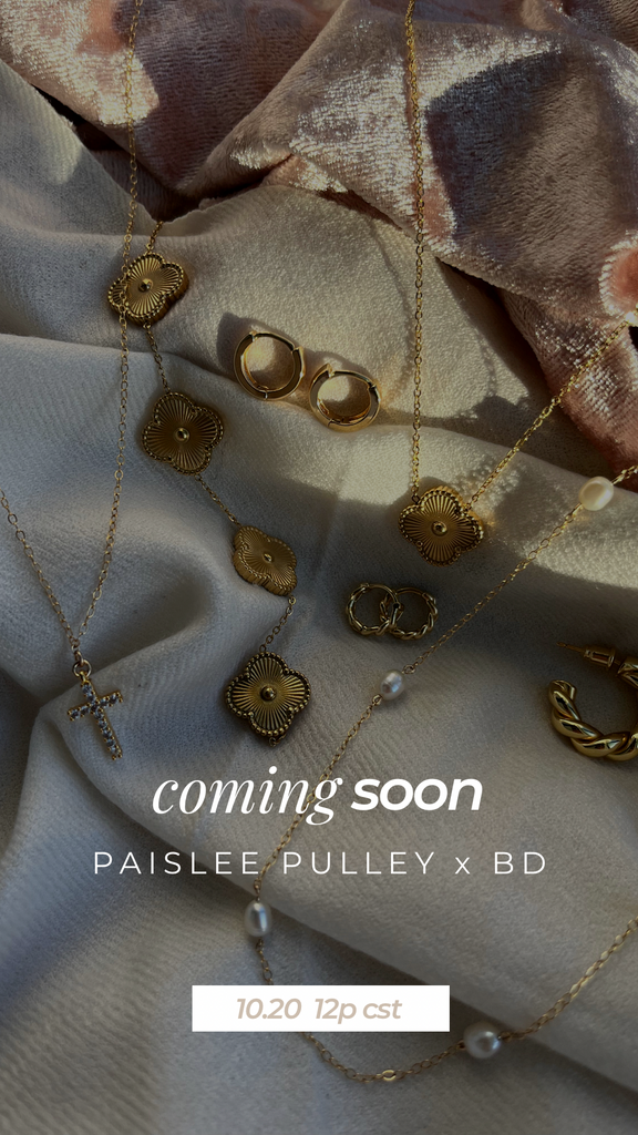 PAISLEE PULLEY x BD